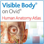 Logo image for Human Anatomy Atlas 2020